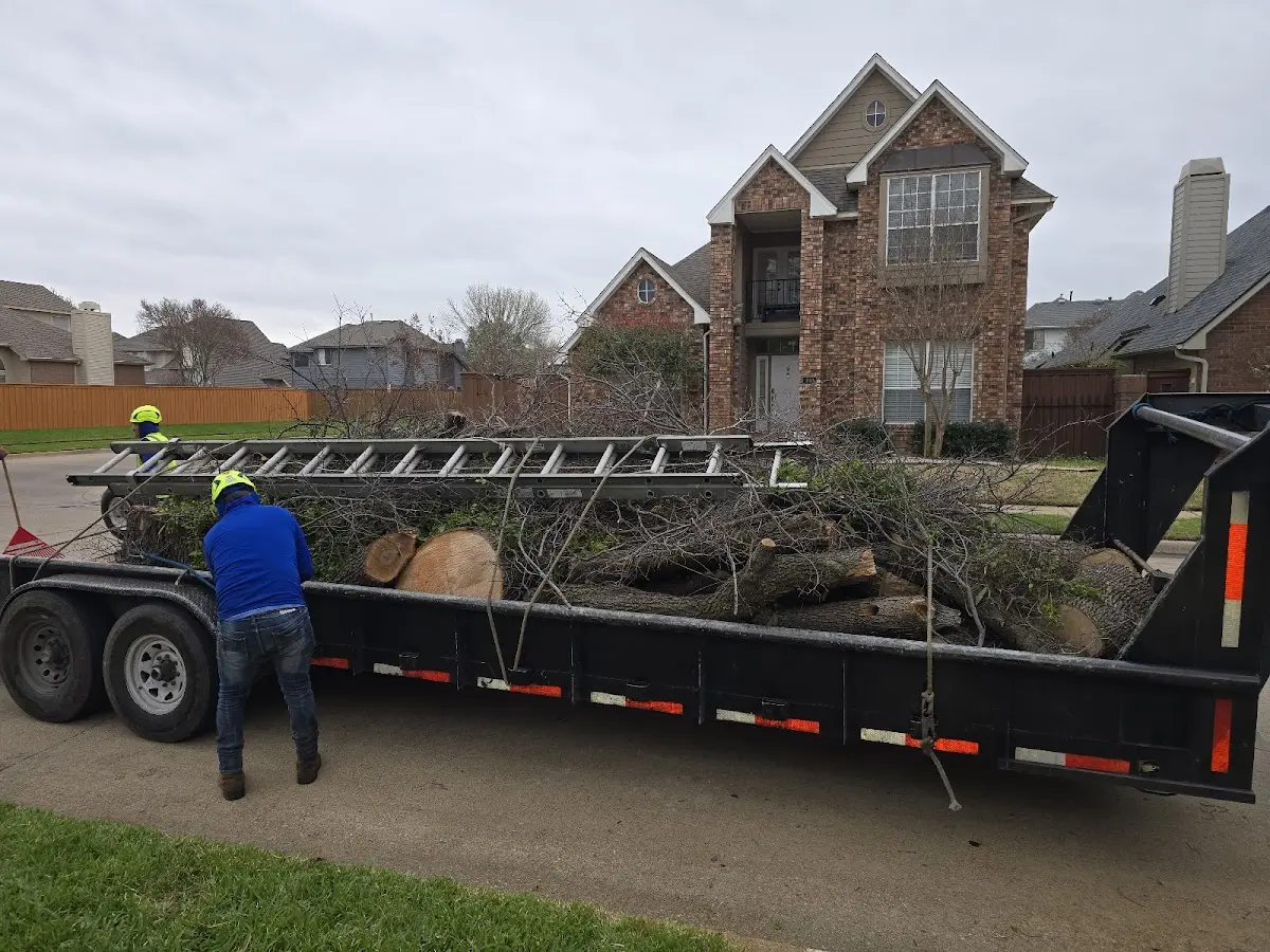 Expert Tree Fertilization with proper safety equipment in Dilworth